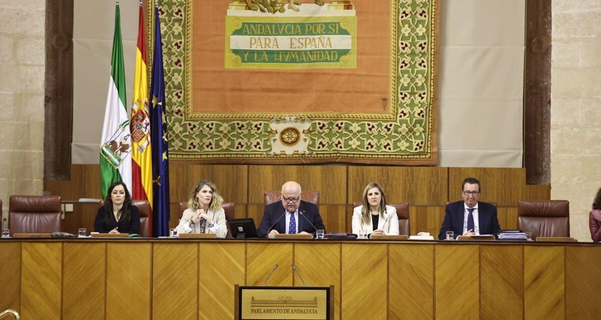 El Parlamento actualiza su protocolo contra acosos e incorpora el ciberacoso