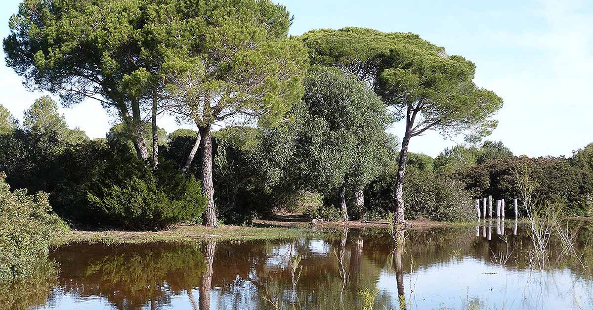 El Parque de los Toruños inaugura el 26 de marzo el Circuito Permanente de Orientación La Algaida