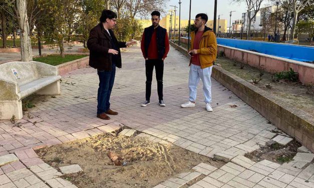 Adelante El Puerto reclama más mantenimiento para el barrio de La Vid