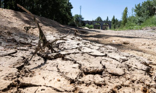 Sin perspectivas de lluvia, la sequía se agudiza en más de media España