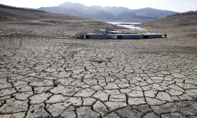 Los regantes piden más medidas contra la sequía, de la que "no son culpables"