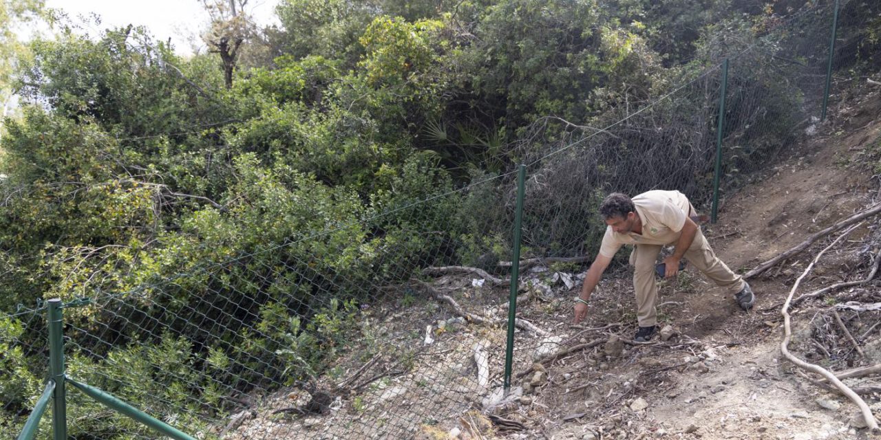 Hallan el cadáver momificado de una mujer en una maleta en Málaga