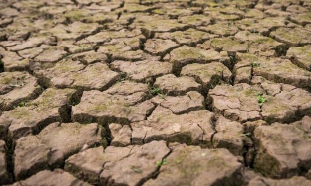 El Gobierno andaluz aprobará la próxima semana un tercer decreto contra la sequía