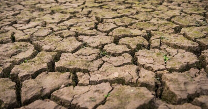 El Gobierno andaluz aprobará la próxima semana un tercer decreto contra la sequía