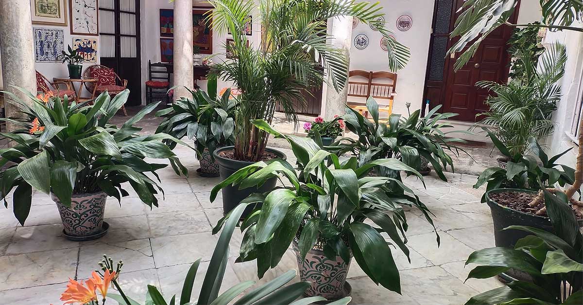 El Puerto disfruta ya de la Fiesta de los Patios Portuenses