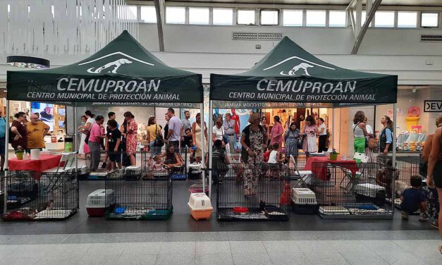 El Cemuproan consiguió adopción para 327 animales en 2022