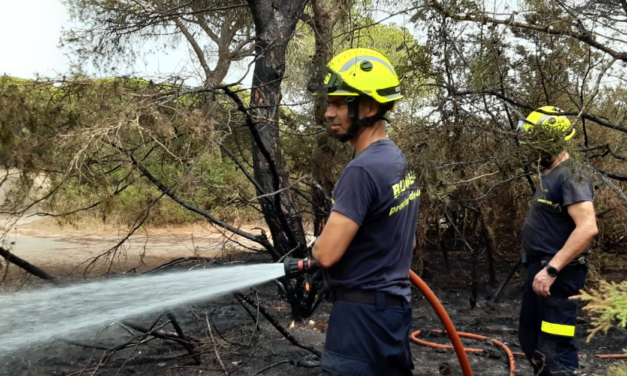 Un incendio en el Tiro Pichón arrasa con 10.000 metros cuadrados de arbolado y pasto