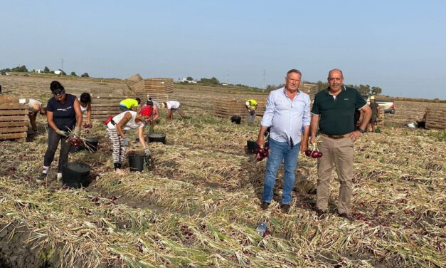 Carmelo Navarro destaca la pujanza del sector agrícola portuense