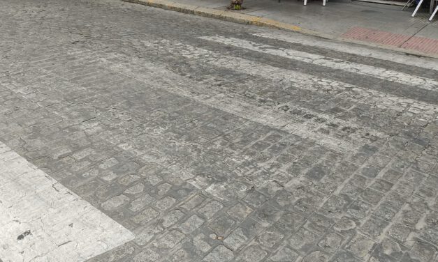VOX El Puerto denuncia el mal estado de los pasos de peatones de la ciudad