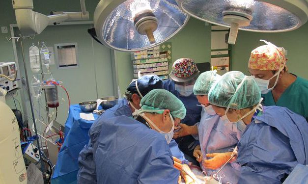 Andalucía, cada vez más solidaria: los trasplantes de órganos se disparan un 21%