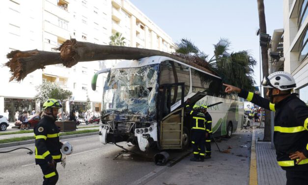 La Universidad de Cádiz pedirá información a la empresa de autobuses tras el accidente con estudiantes de Enfermería