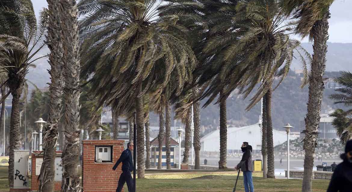 Ampliado el aviso naranja por fuerte viento a comarcas de Sevilla, Córdoba, Jaén y Málaga
