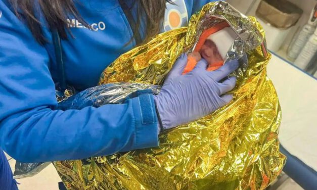 Hallan sustancias tóxicas en el organismo de la bebé encontrada en un contenedor de basura