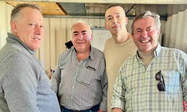 El cartel de la XXXIII Fiesta de San Antón se presenta este sábado 20 en el Hotel Pinomar