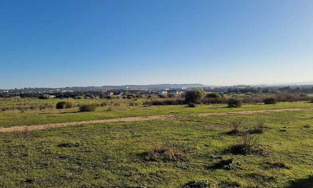 El PSOE destaca que el desarrollo urbanístico de la Florida es esencial para la construcción de viviendas públicas