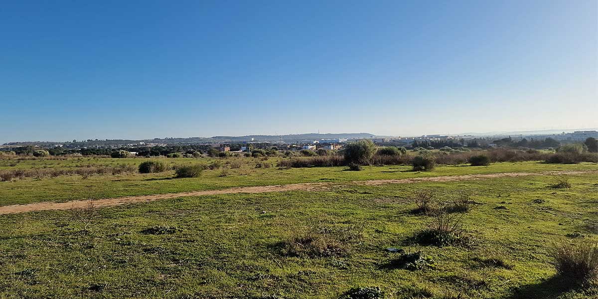 El PSOE destaca que el desarrollo urbanístico de la Florida es esencial para la construcción de viviendas públicas