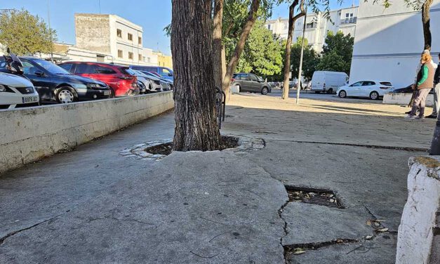 La Flave visita la zona de El Molino para conocer las demandas de los vecinos