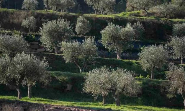 Pierde la vida ahogado un niño de 8 años en una poza natural en la provincia de Granada